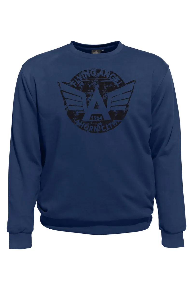 

Толстовка AHORN SPORTSWEAR с модным принтом спереди, синий
