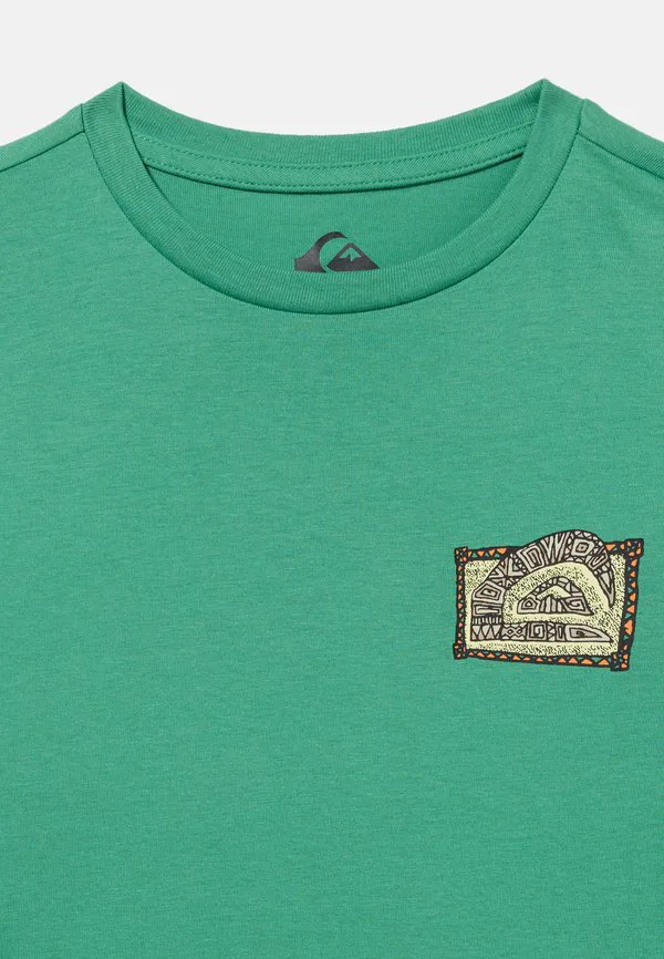 Футболка унисекс с принтом heritage Quiksilver, Leprechaun — фото 4