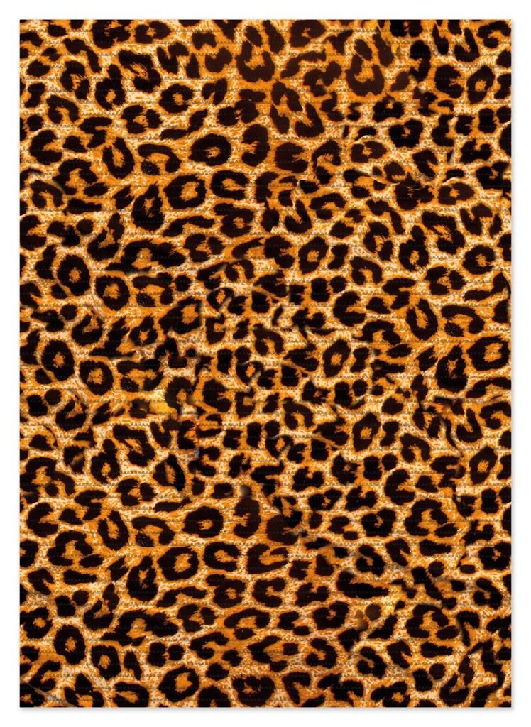 

Коврик для душа Wallario, нескользящий коврик, коврик для ванной, коврик с леопардовым рисунком, оранжево-черный, размер примерно 70 x 50 см