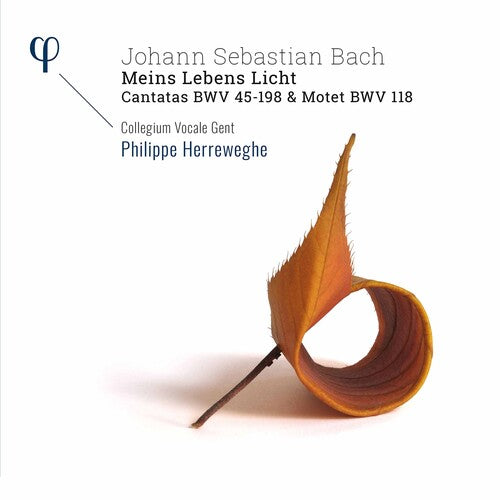 

CD диск Bach, J.S. / Collegium Vocale Gent / Herreweghe: Meins Lebens Licht