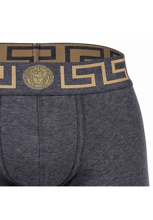 Боксеры-Шорты - би-стрейч топика органический хлопок однотонные Versace, серый — фото 3
