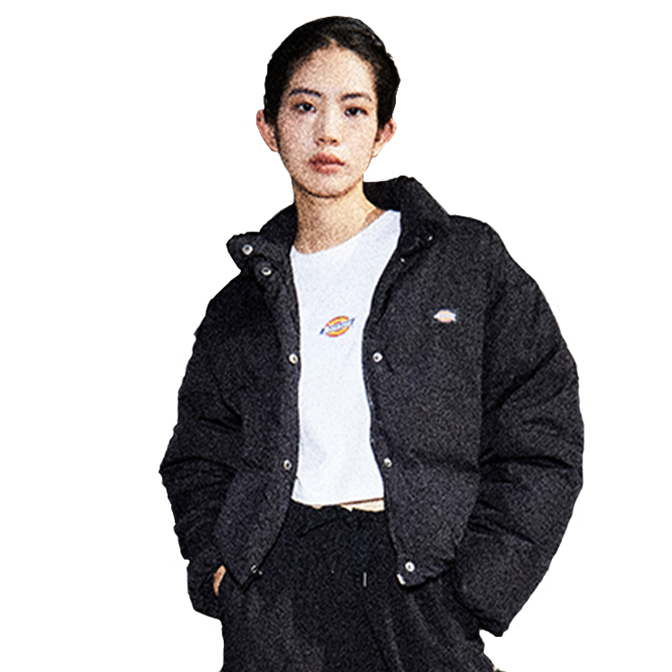 

Dickies Пуховик черный DK0A87CABLK унисекс, Black