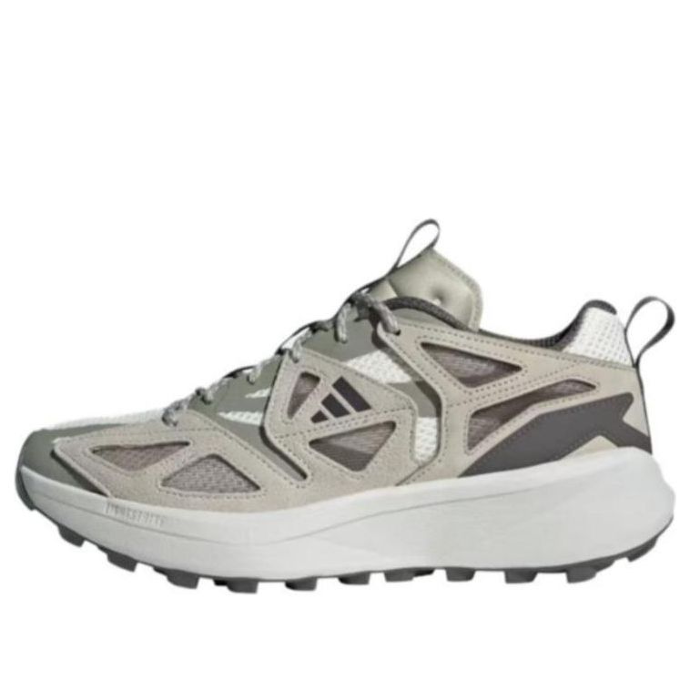 

Кроссовки adidas Kantai Trail 'Cloud White Charcoal Putty Grey', серый