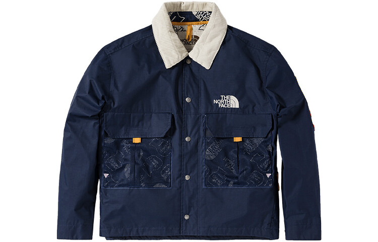 

THE NORTH FACE Мужская куртка, цвет Blue