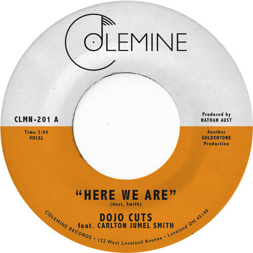 

Виниловая пластинка Dojo Cuts - Here We Are (Coke Bottle Clear)