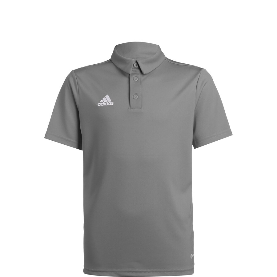 

Футболка Performance ADIDAS PERFORMANCE Entrada 22, серый