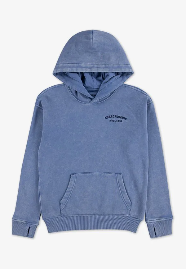 Выцветшая толстовка Abercrombie & Fitch, Moonlight Blue