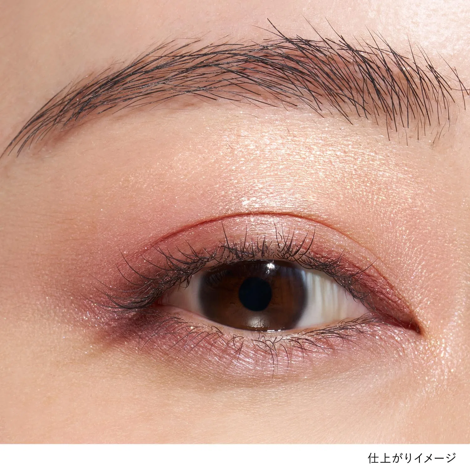 Тени для век Lunasol Eye Colouration N EX13 Rose Gold Golden Bouquet — фото 3