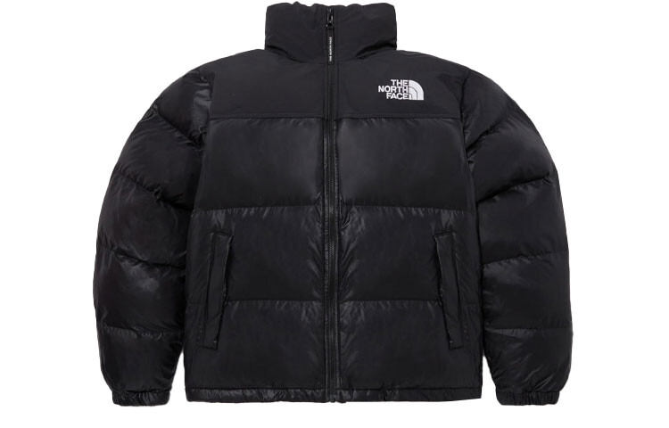 

THE NORTH FACE Мужская куртка, цвет Black
