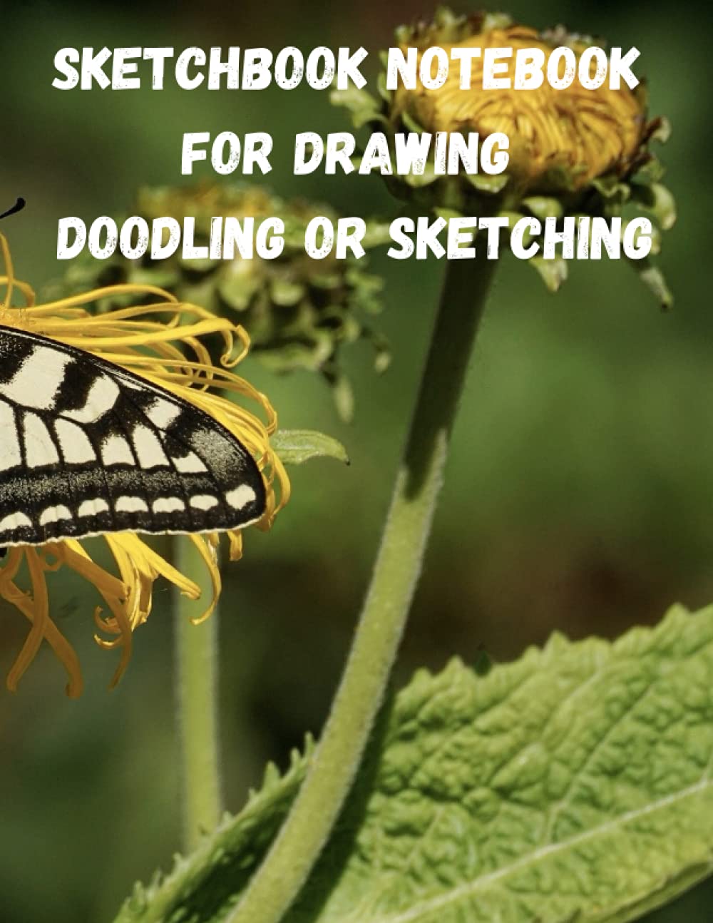 

sketchbook notebook for drawing doodling or sketching for butterfly lover: 8.5x11 inch 21.59x27.94 cm 120 pages drawing notebook wing designe in matte cover (Independently published)
