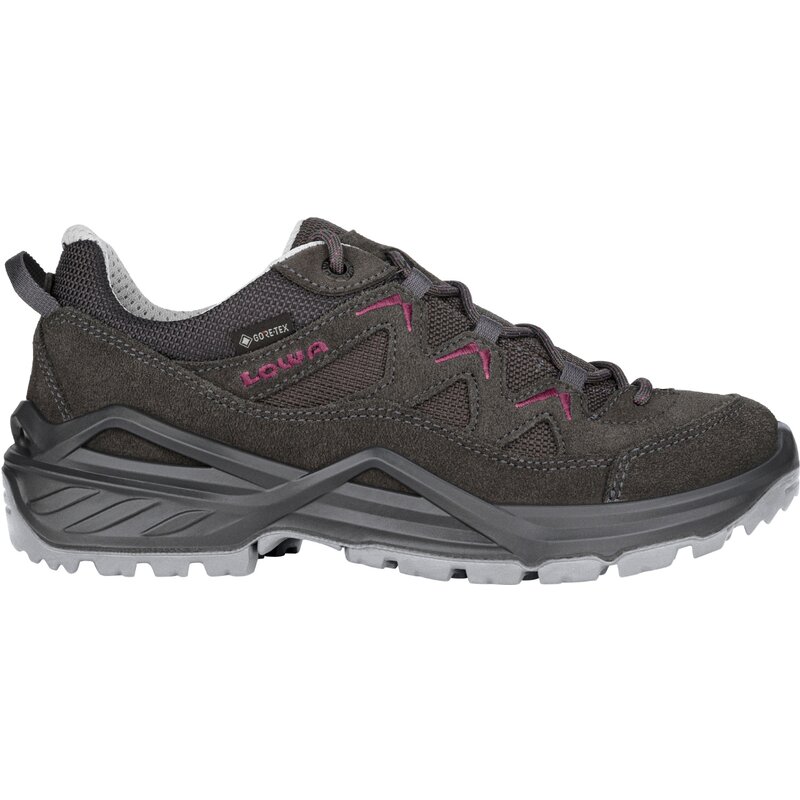 Многофункциональные туфли sirkos evo gtx low ws Lowa, мультиколор