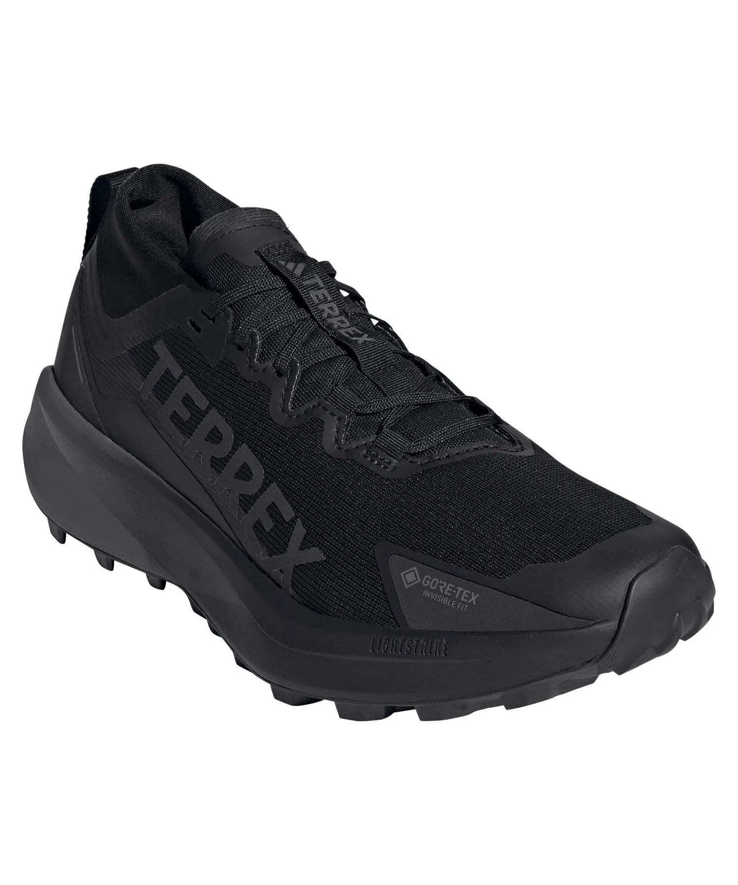 Мужские кроссовки Adidas TERREX AGRAVIC GTX JR5240 чёрные — фото 2