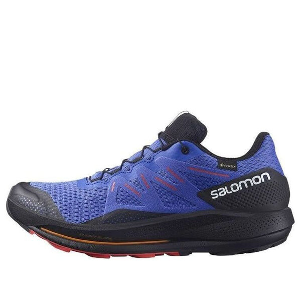 

Кроссовки pulsar trail gore-tex 'blue black' 416080 Salomon, синий