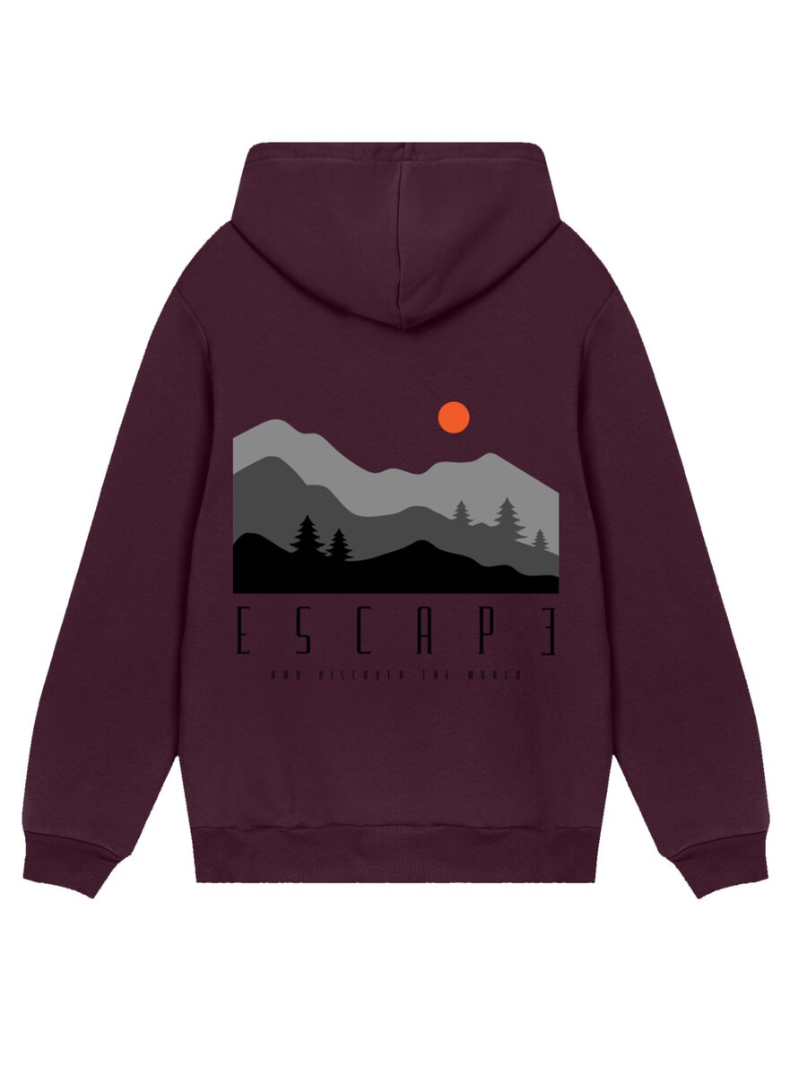 

Толстовка F4NT4STIC Escape Discover the World, коричневый