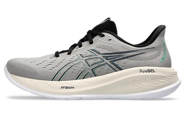 

Кроссовки Asics GEL-CUMULUS 26 Мужчины, Dark Gray