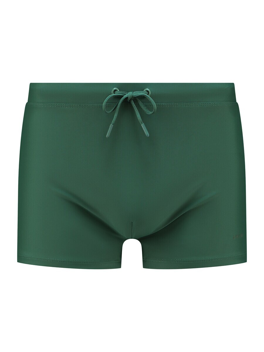 

Плавки Shiwi Swim Trunks, зеленый