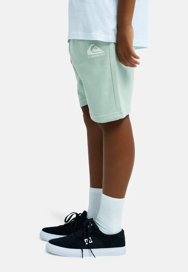 Easydajogshorty bga спортивные шорты Quiksilver, Turquoise — фото 4