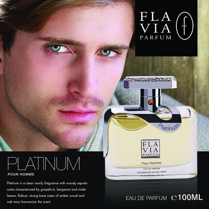Парфюмерная вода Flavia Platinum Pour Homme, 100 мл — фото 3