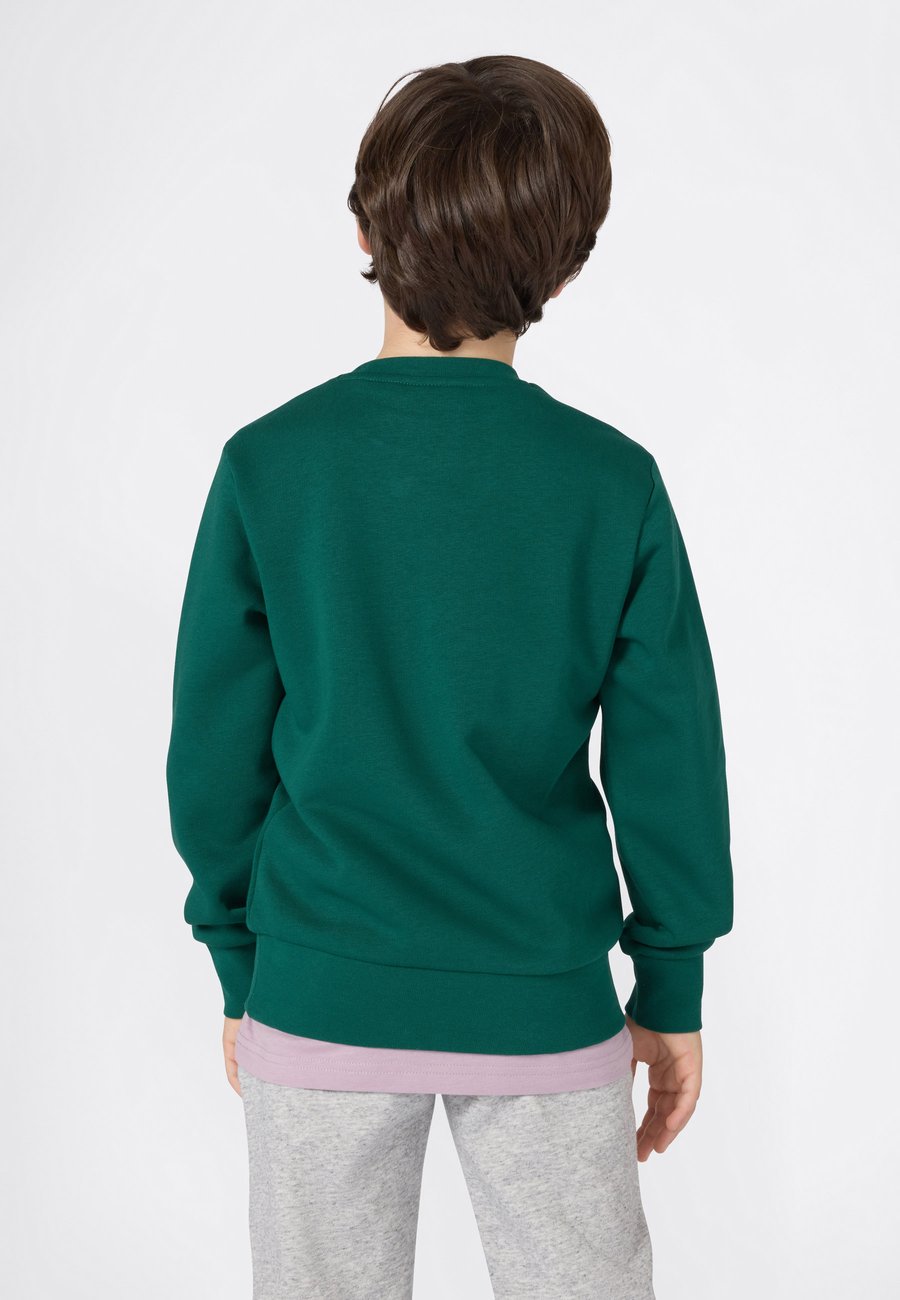 Толстовка Champion ICONS CREW NECK , Dark Green — фото 3