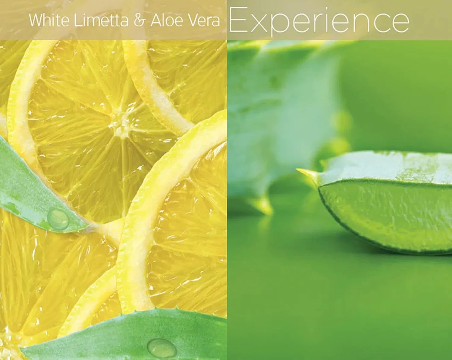 Набор мини-кремов для рук Cuccio Butter Babies «White Limetta & Aloe Vera» Cuccio — фото 2