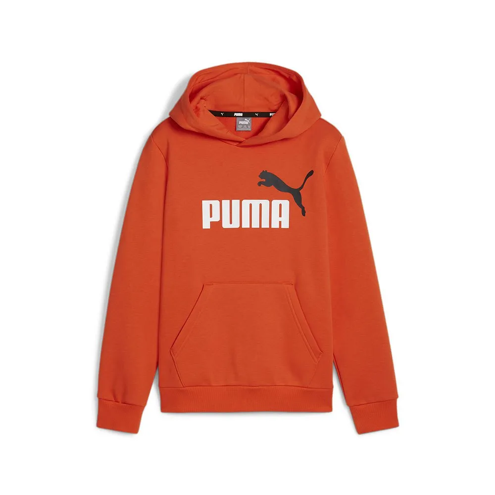 

Худи Puma Ess+ 2 Col Big Logo, оранжевый