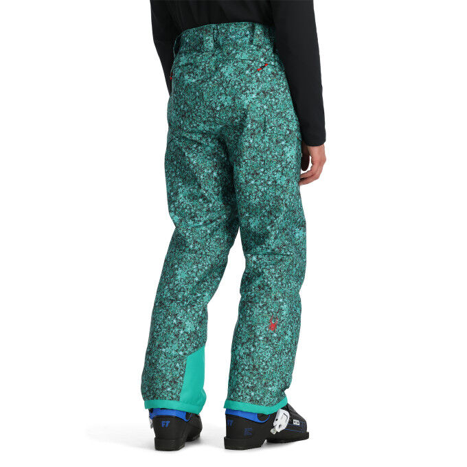 

Мужские горнолыжные брюки Spyder Seventy - кленовый дымчатый сине-зеленый