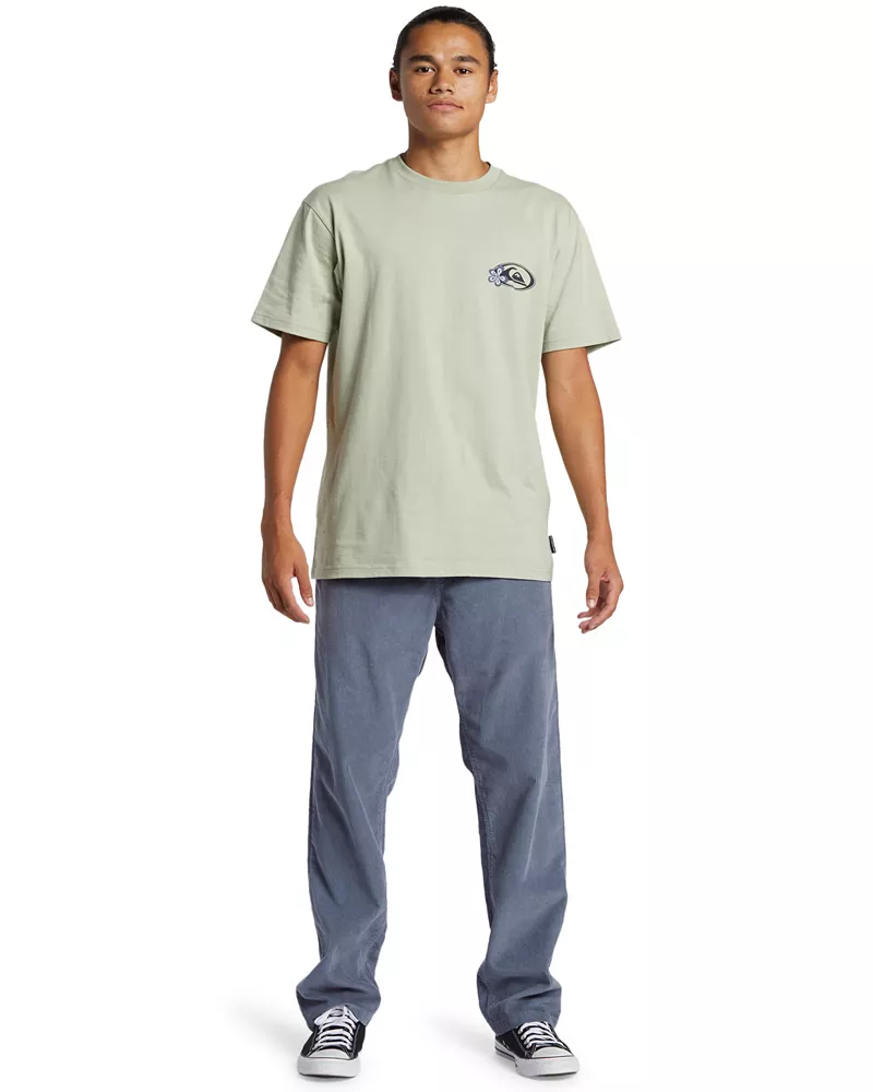 

Мужские вельветовые пляжные брюки Quiksilver DNA, цвет Flint Stone