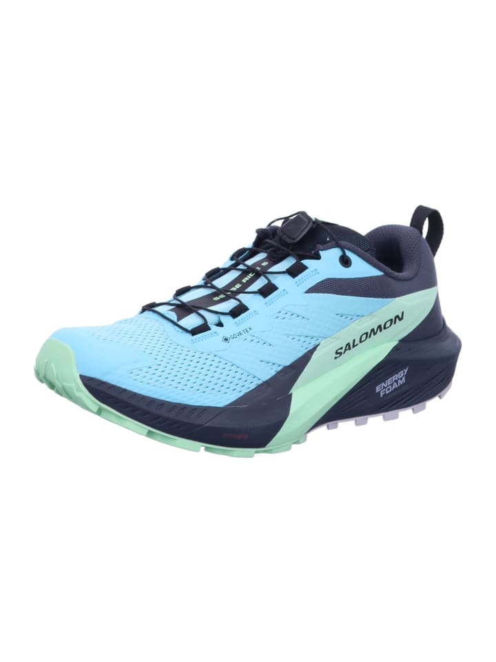 

Кроссовки SALOMON Sport Schuhe SENSE RIDE 5 GTX W, синий