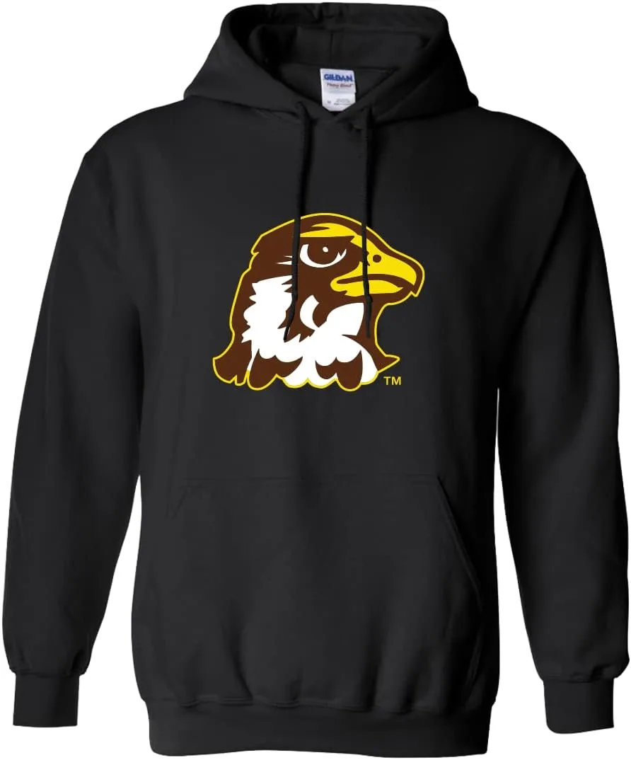

Толстовка с капюшоном Quincy University Full Color Logo CreateMyTee