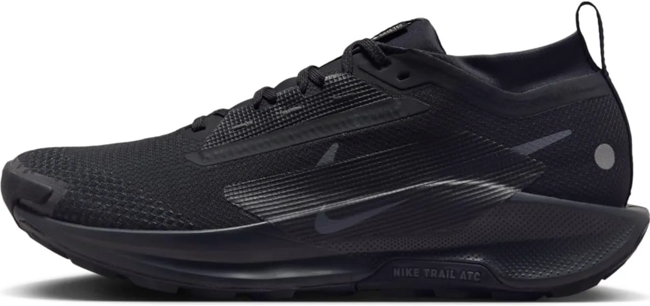 Мужские кроссовки для трейлраннинга Nike Pegasus Trail 5 GORE-TEX водонепроницаемые, черный — фото 2