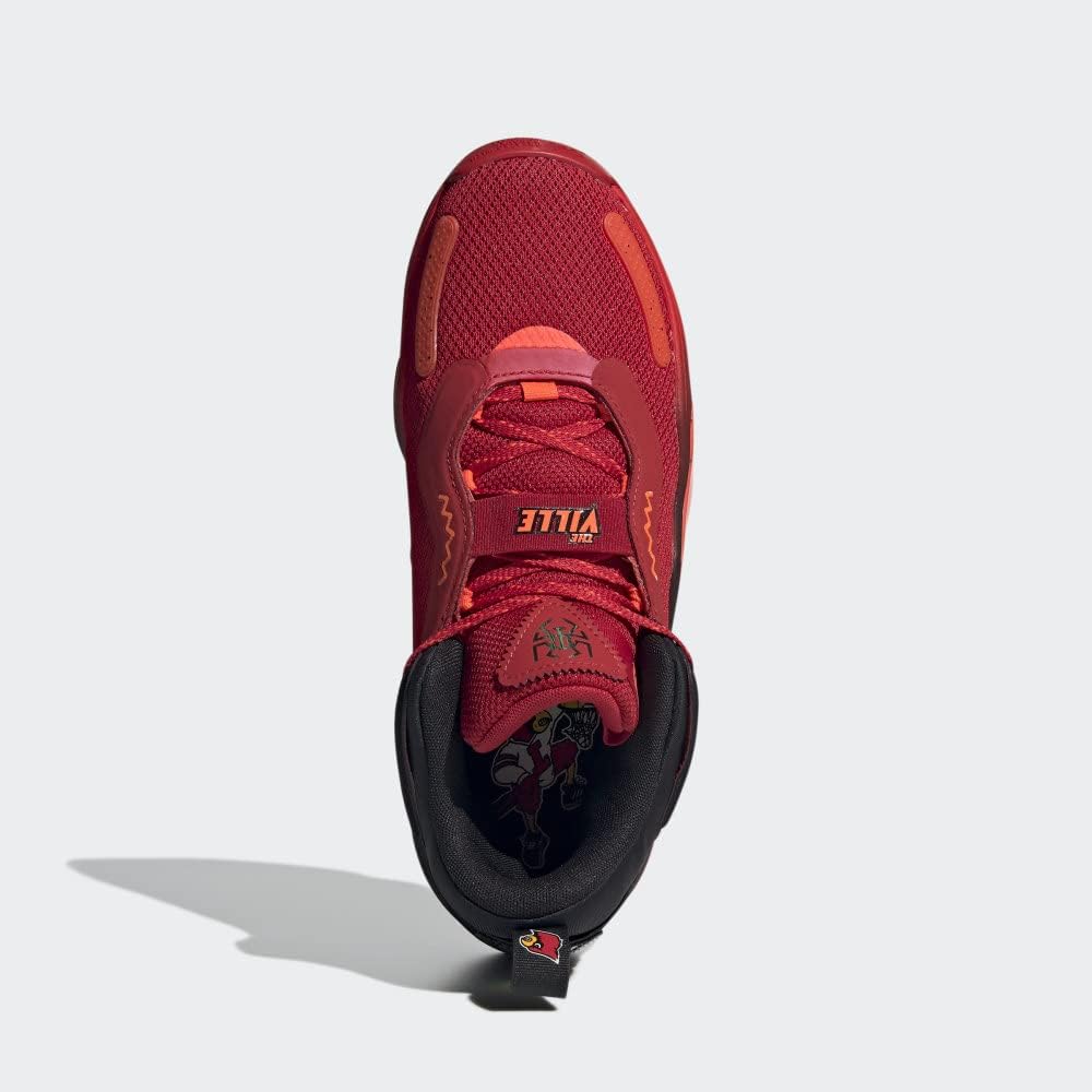 Мужские походные кроссовки adidas Terrex Skychaser Lt Gtx, черный/красный/алый — фото 4