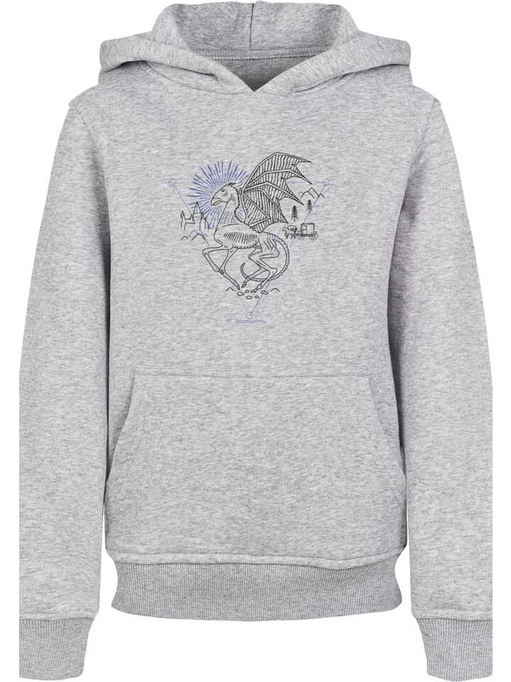 

Пуловер F4NT4STIC Harry Potter Thestral Line Art, пестрый серый
