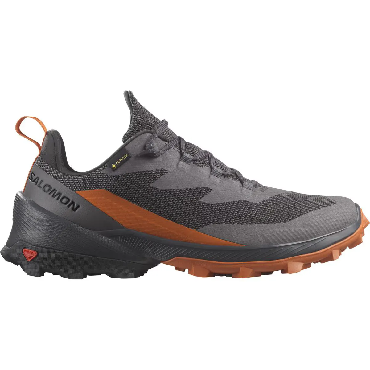

Мужская кроссовка 2 GTX Salomon Горная обувь, темно-серый