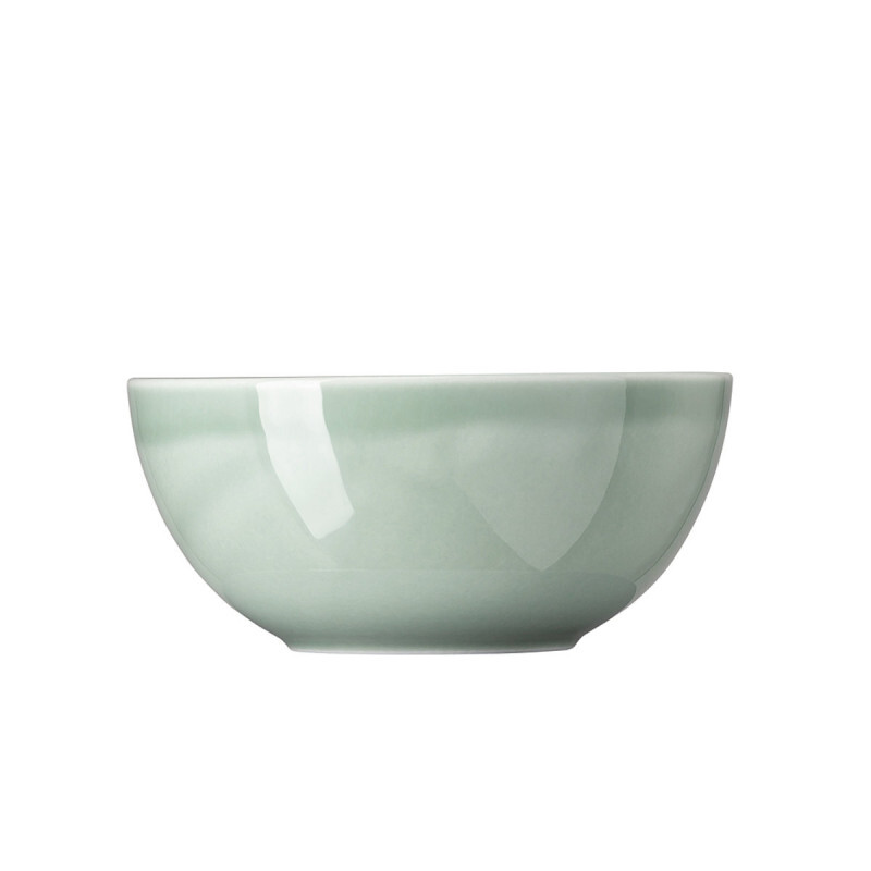 

Миска Daily Moss Green 24 см Thomas, зеленый