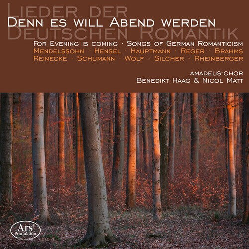 

CD диск Denn Es Will Abend Werden / Various: Denn Es Will Abend Werden