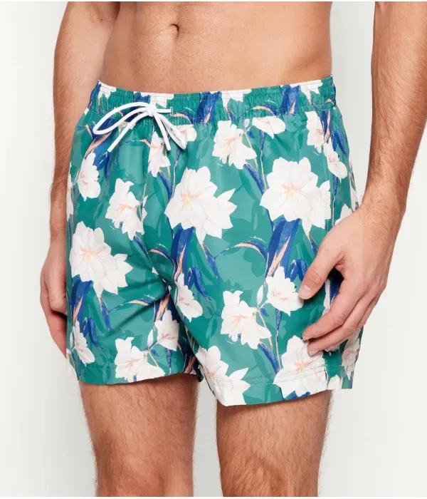 Плавки Iris regular fit Boss, зеленый