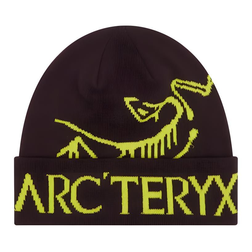 

Акриловая шапка мужская кофейного цвета Arcteryx
