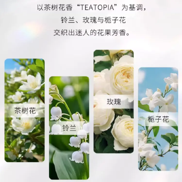 2025 Spring Limited Edition пудра для коррекции тона кожи Natural Skin Tone Correcting Setting 8,5 г KANEBO — фото 3