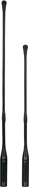 

Микрофон AKG CGN99 C/S