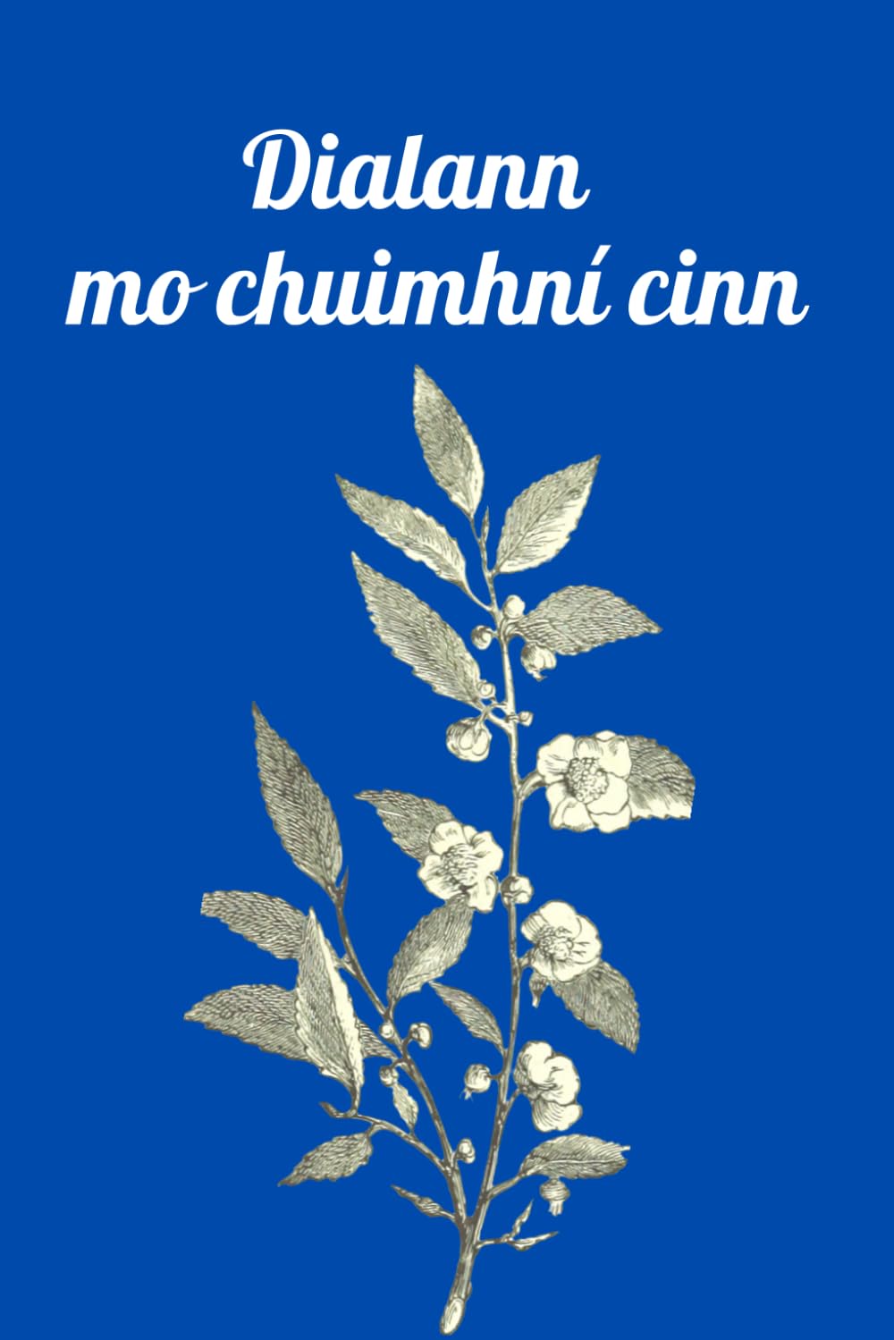 

Dialann mo chuimhní cinn: 150 leathanach do mo chuimhní cinn (Irish Edition) (Independently published)