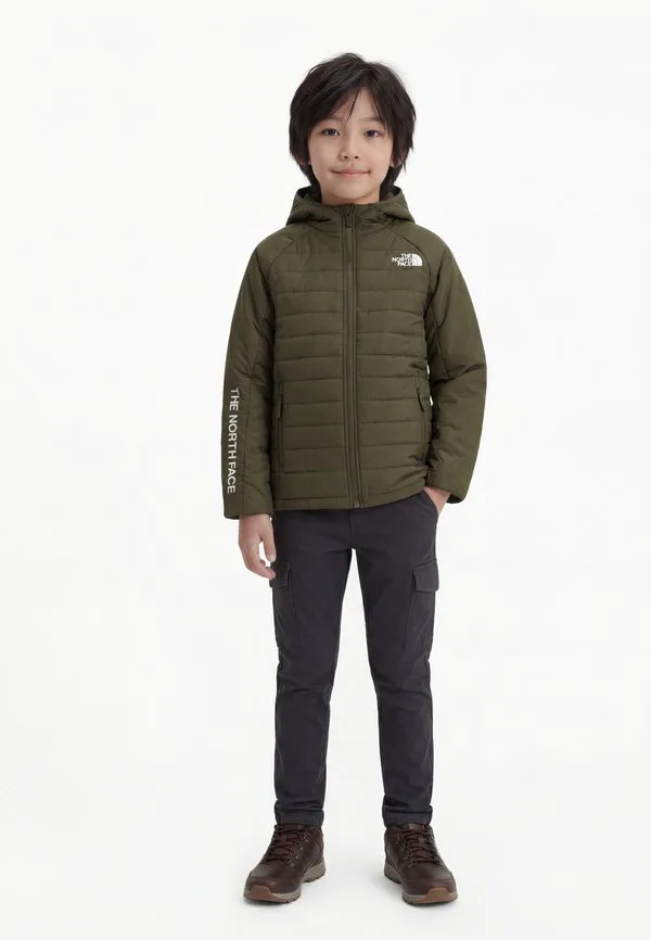 Куртка унисекс never stop The North Face, New Taupe Green