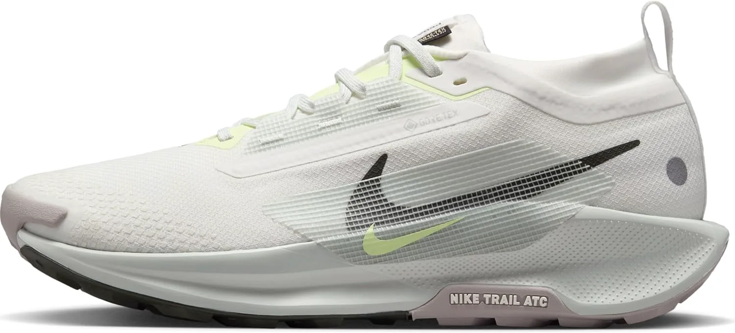 Мужские кроссовки для трейлраннинга Nike Pegasus Trail 5 GORE-TEX водонепроницаемые, светло-серебристый