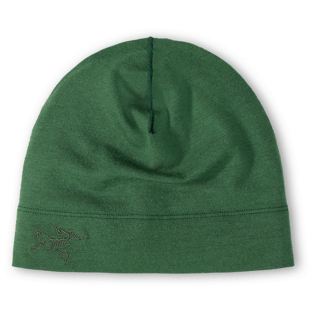 

Шапка Arc'Teryx Rho Lightweight Wool Toque, цвет Eden