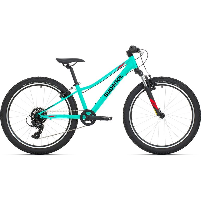 

Детский велосипед Superior RACER 24 Gloss Teal