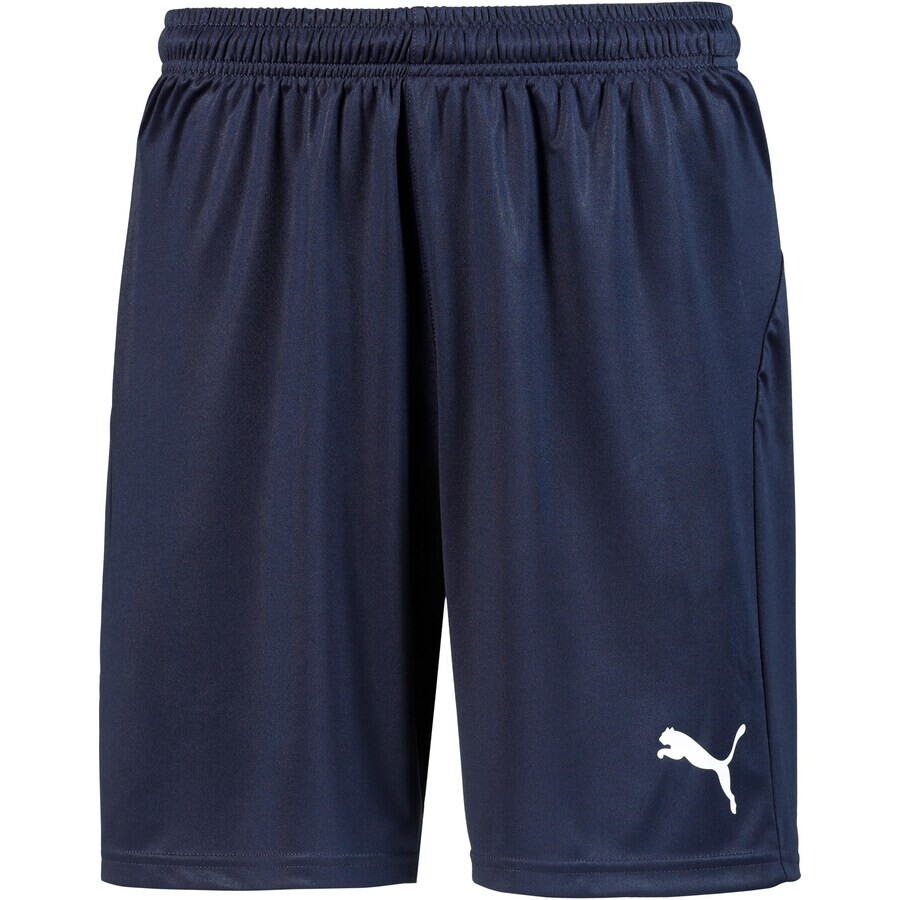

Спортивные брюки PUMA Regular Workout Pants Liga Core, темно-синий