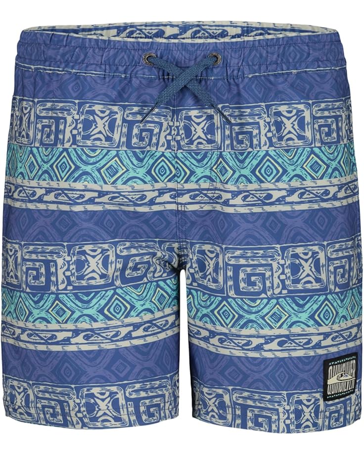 

Шорты Quiksilver Kids Surfsilk Global Volley, синий