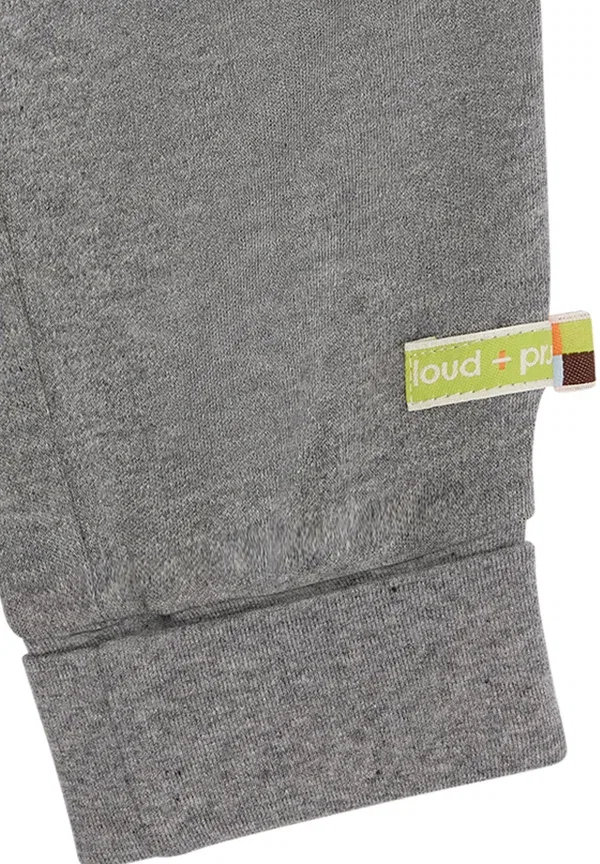 Спортивные штаны с манжетами Mit umschlagbund tracksuit bottoms Loud + Proud, серый — фото 4