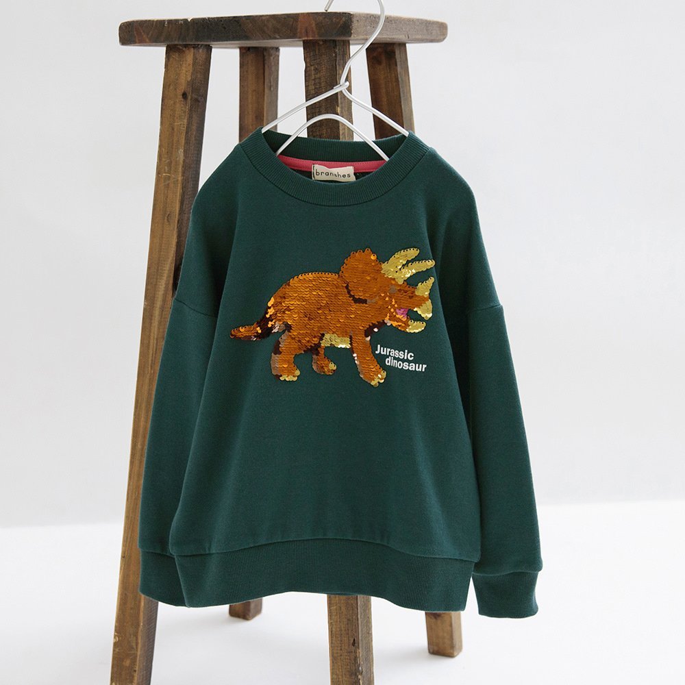 Флисовая толстовка с изображением динозавра и пайетками Branshes, green