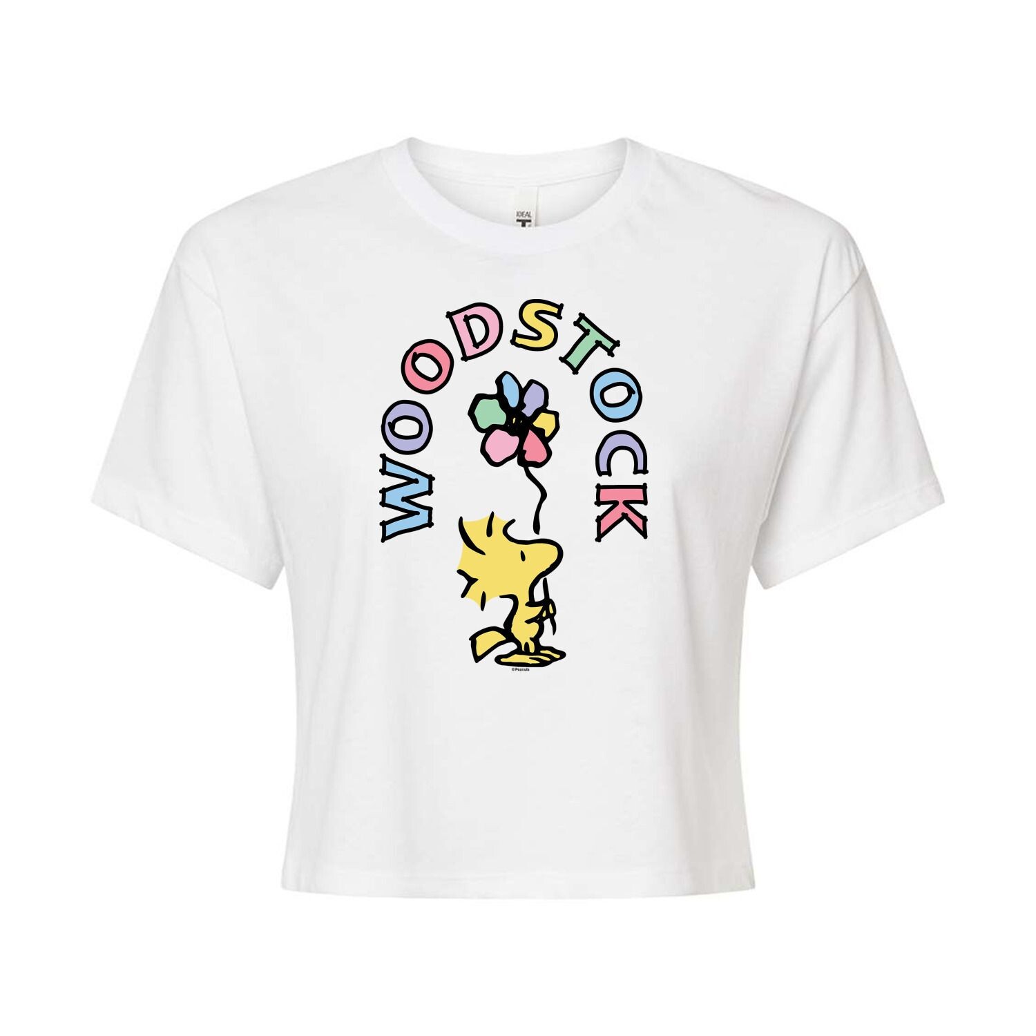 

Укороченная футболка с рисунком Peanuts Woodstock для юниоров Licensed Character