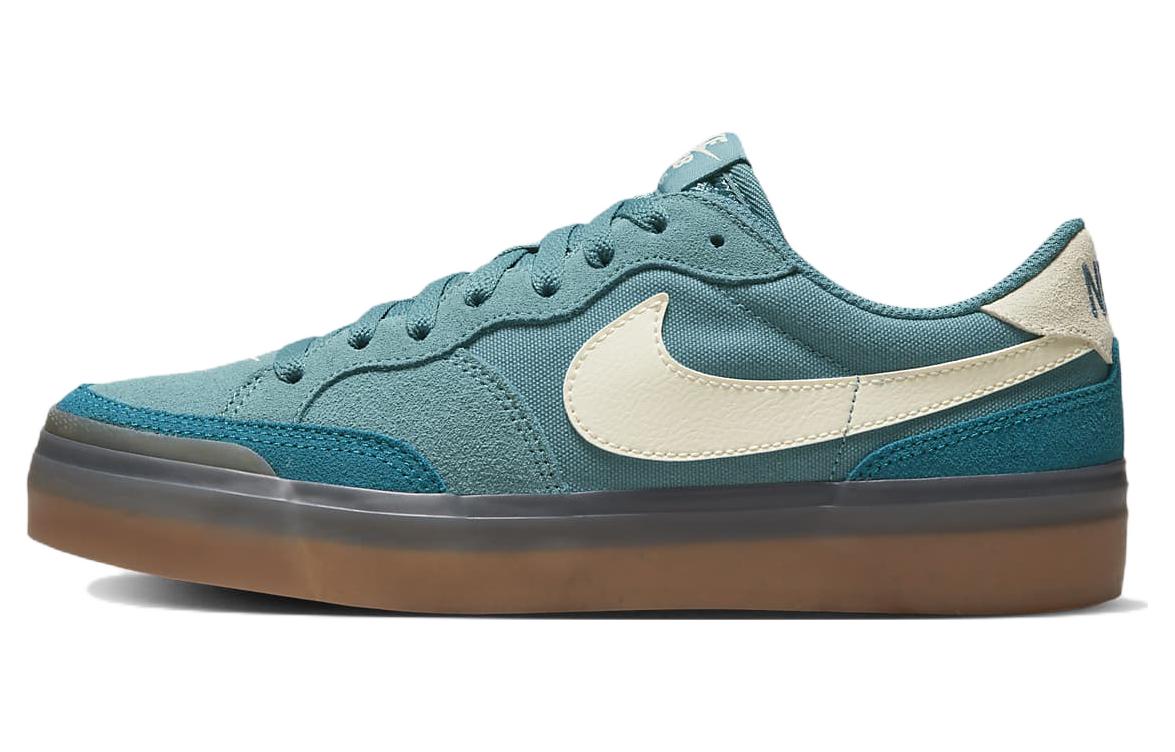 Nike SB Zoom Pogo Plus Noise Aqua (женские)